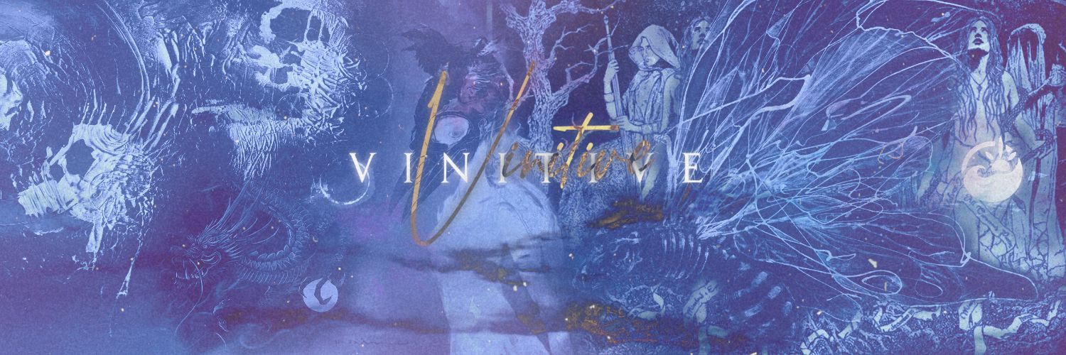 Vin 🌅 banner