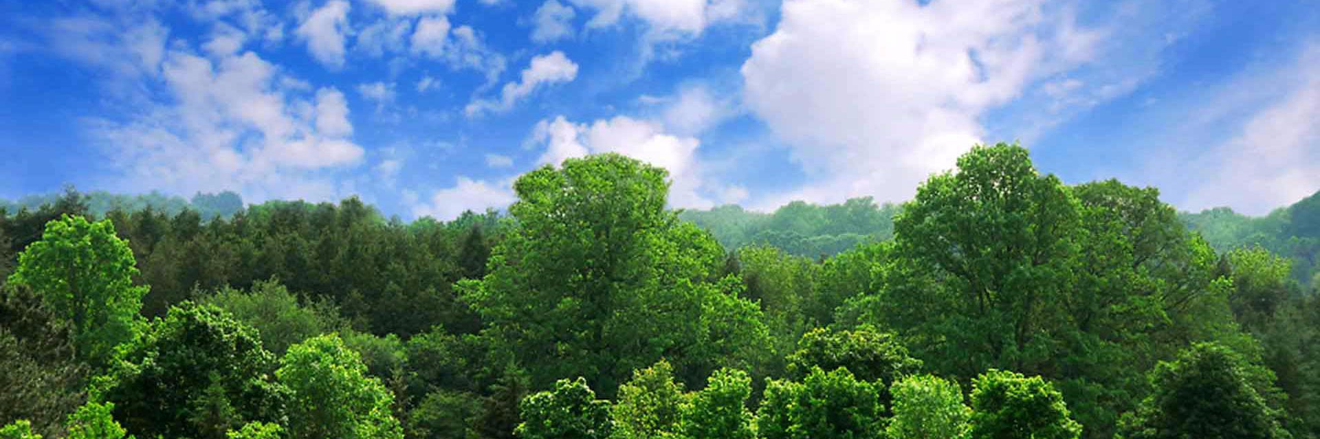 ALL4JESUSNOW banner