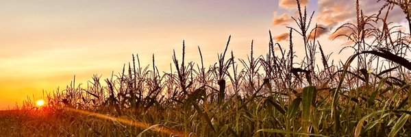 gregpioneer Profile Banner