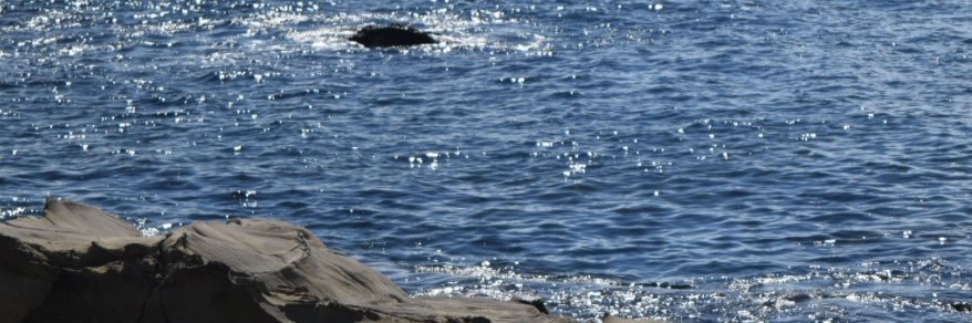 panpan_194's profile banner image