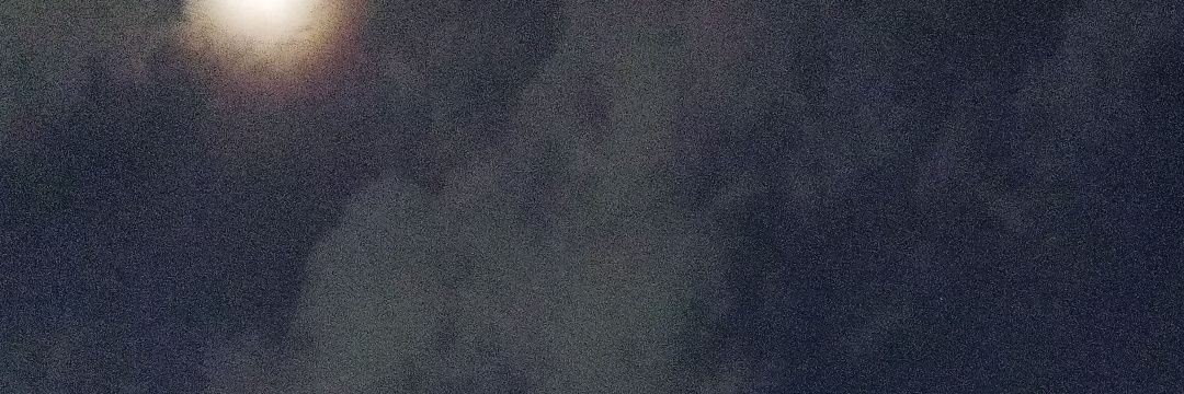 strzh banner