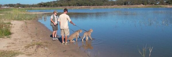CheetahOutreach Profile Banner