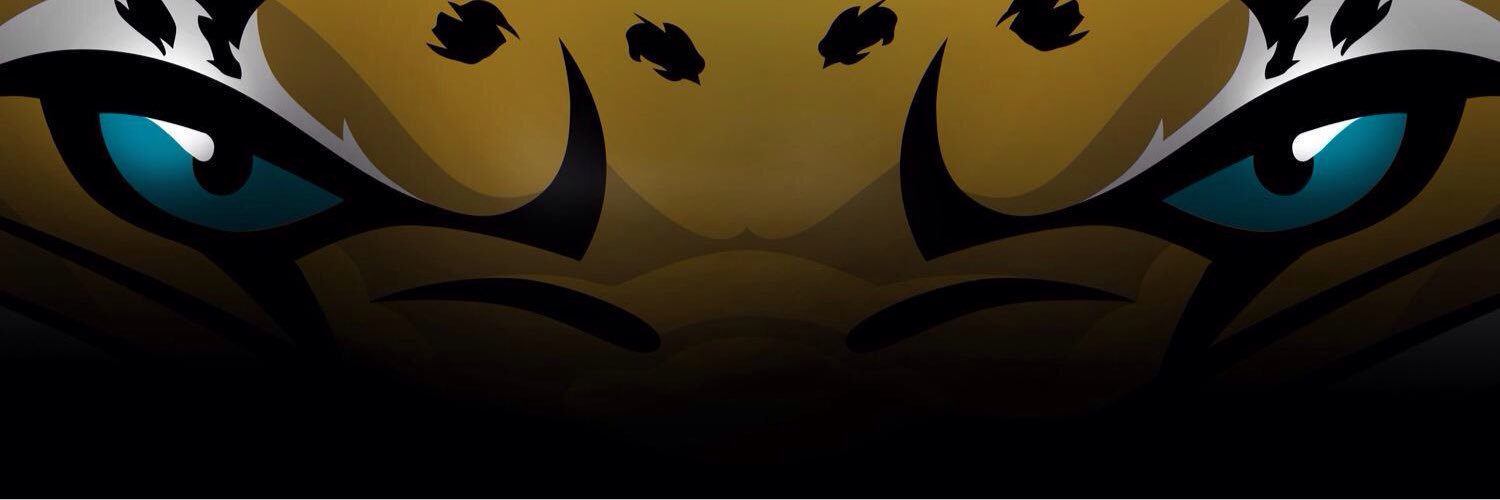 DragonsAD12's profile banner image