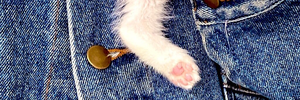 Elise | 🇦🇺 in 🇸🇪 - PLAY WAYWARD STRAND 🥰😍 banner