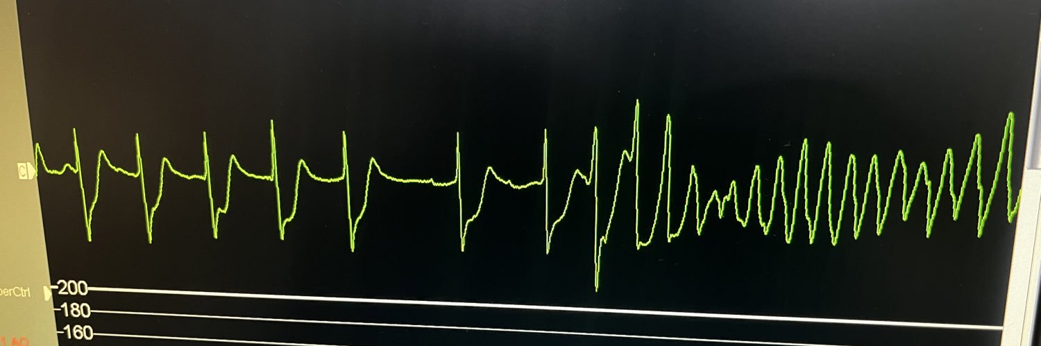 Neshwan Albarwari banner