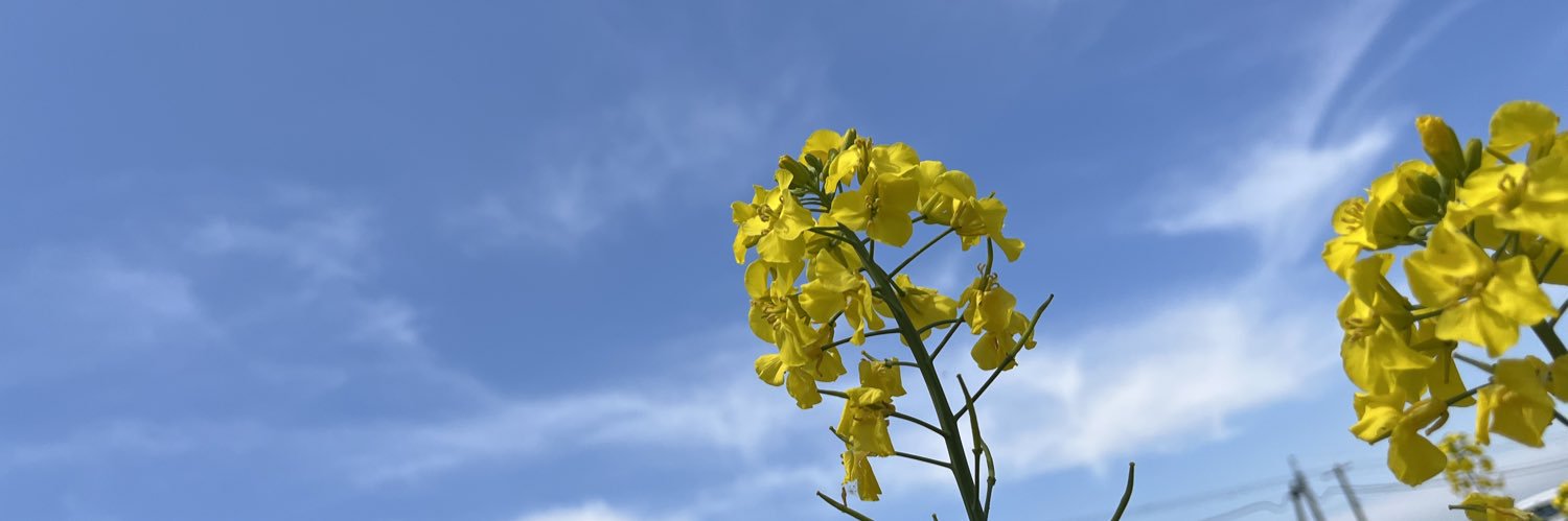 Cileil_7's profile banner image