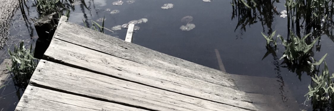 skelicide's profile banner image