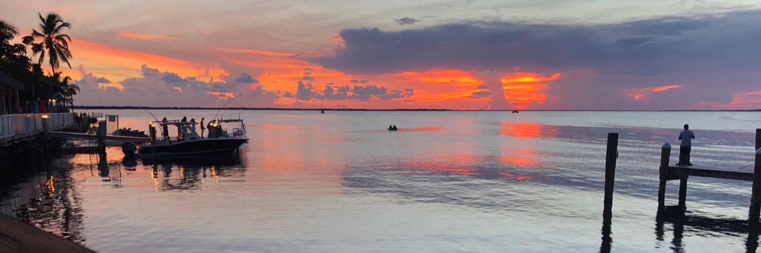 sarancronk's profile banner image