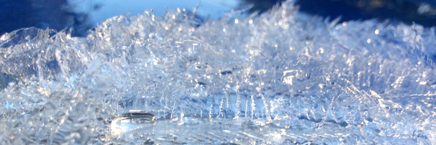 theRealReinaD's profile banner image