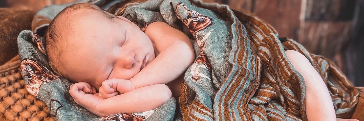 Harley Shackelford banner