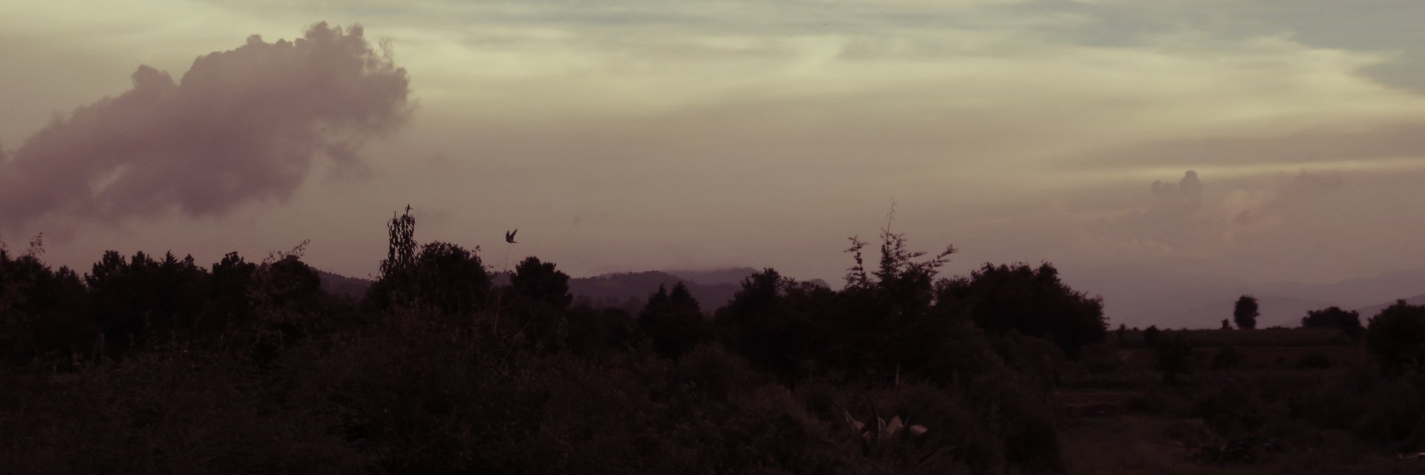 César Huerta banner