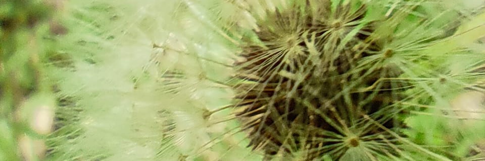 jackpec118's profile banner image