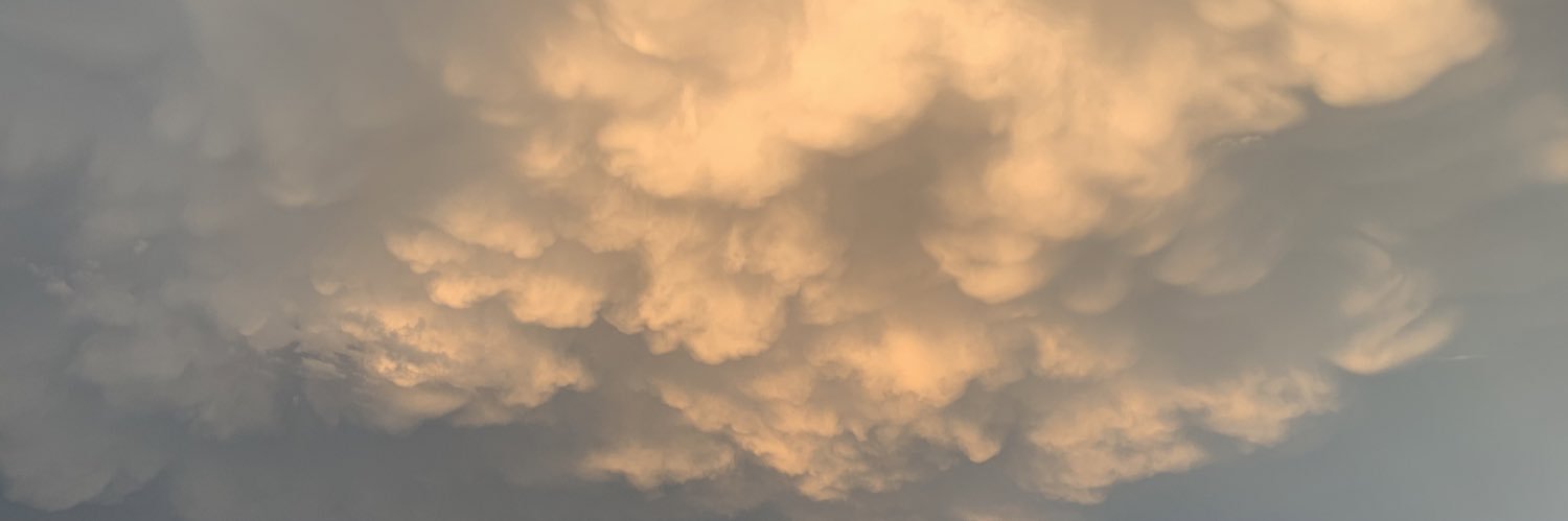 StetsonTweet's profile banner image