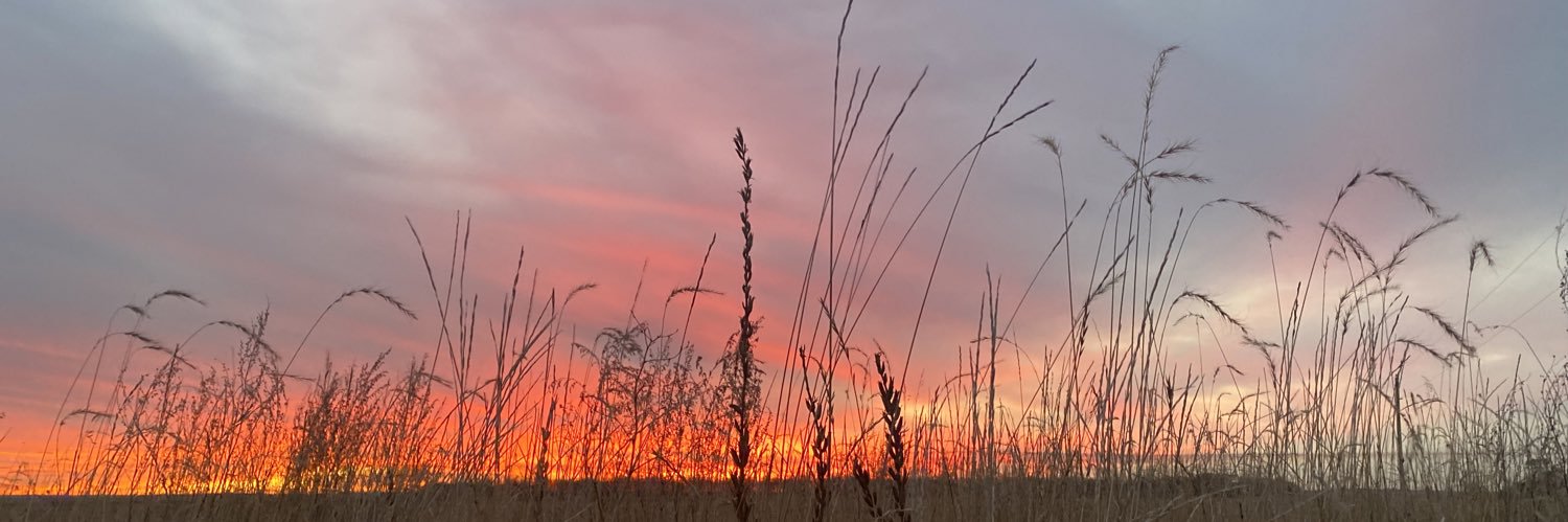 SarlaccFood 🥶 banner