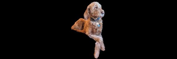 micloben Profile Banner