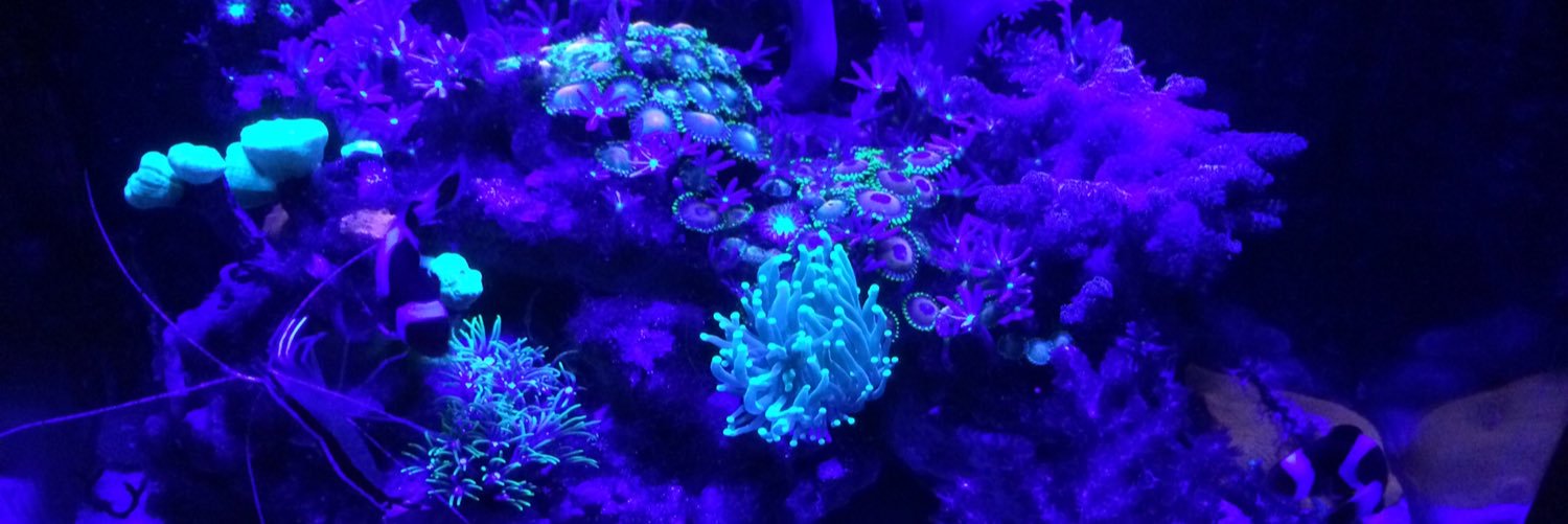 Dean Fielding banner