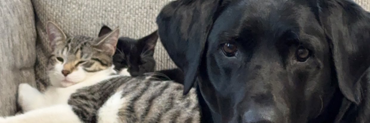 NotJaxonn's profile banner image