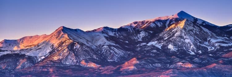 Neal Williams banner