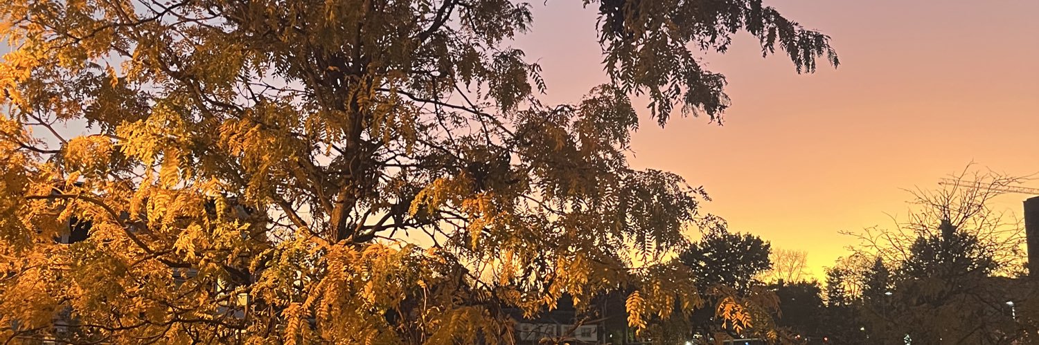caseyjean__'s profile banner image