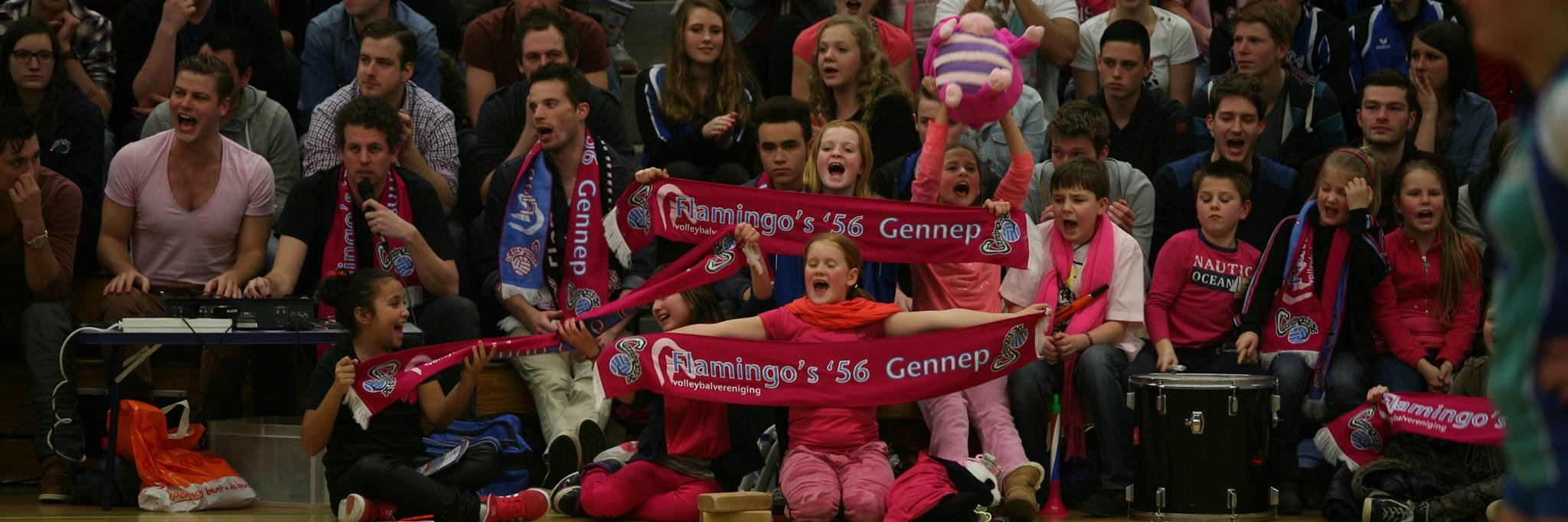 Flamingo's Dames 1 banner