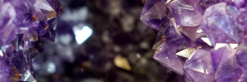 Whimsy & Rage banner