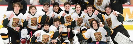 Clearview Ice Hockey banner
