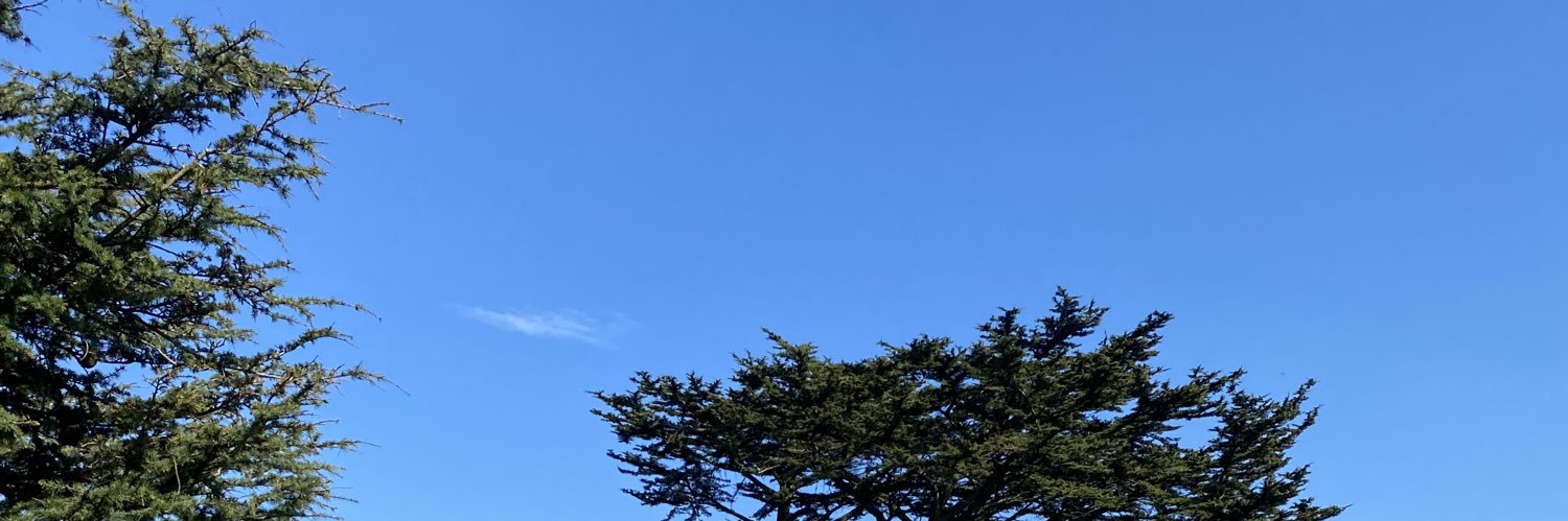 DoonFraud's profile banner image