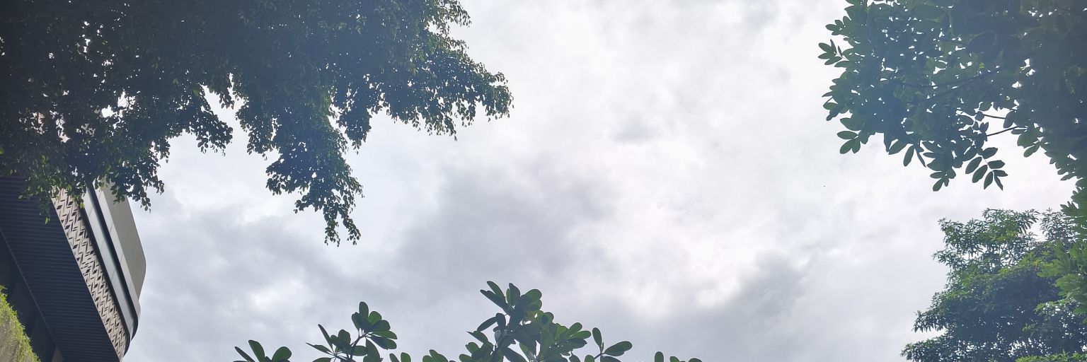 biekaap's profile banner image