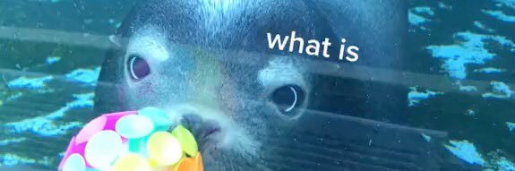 astonymeme's profile banner image