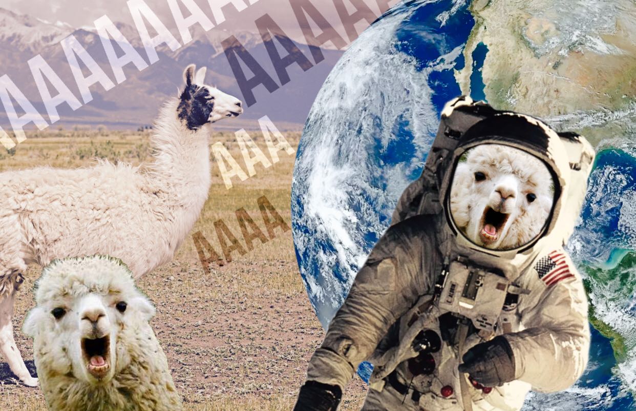 Jubreh's profile banner image