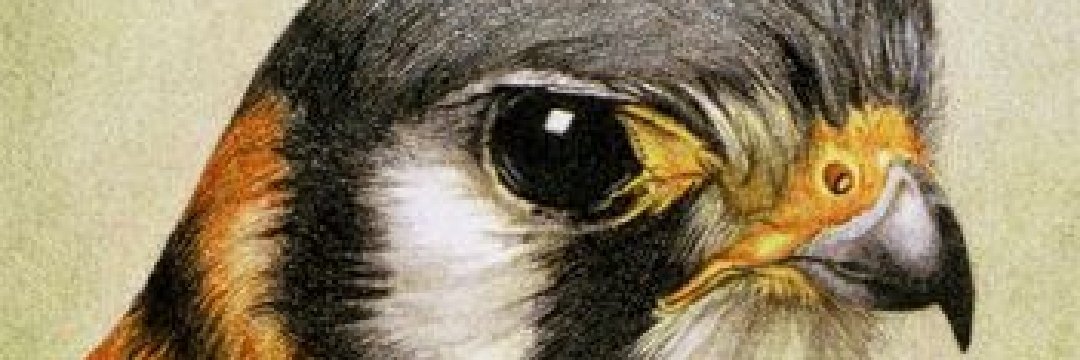 ATaylor68564341's profile banner image