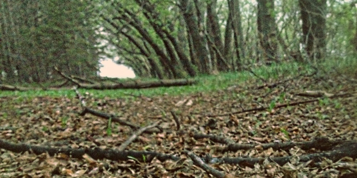 BaileyMorrison7's profile banner image