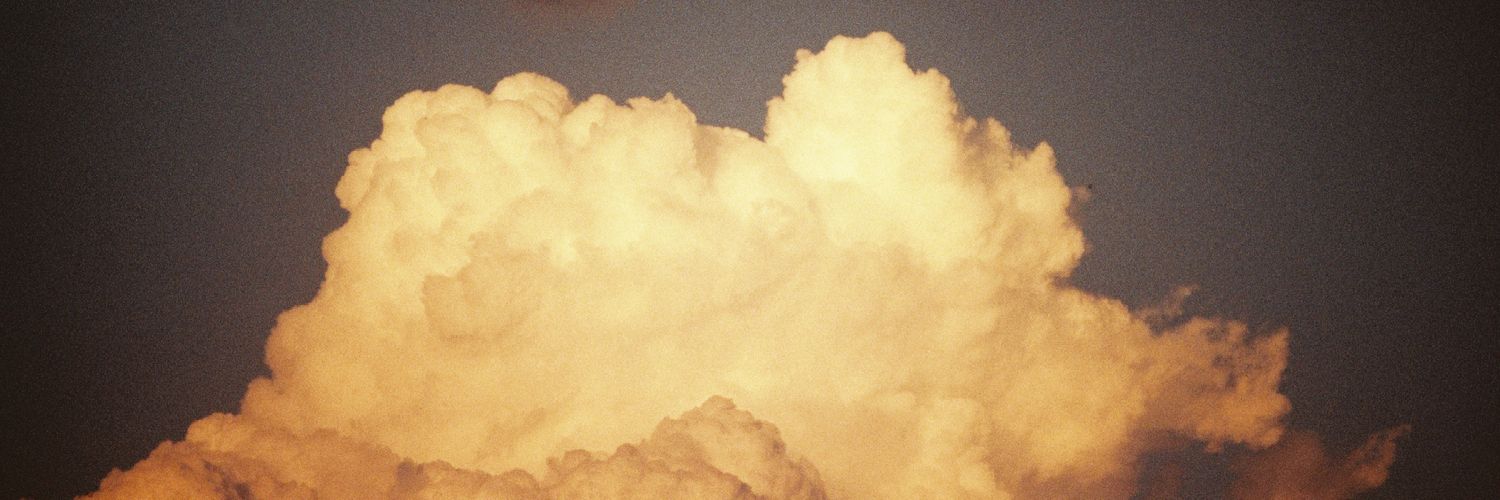 lntrditya's profile banner image