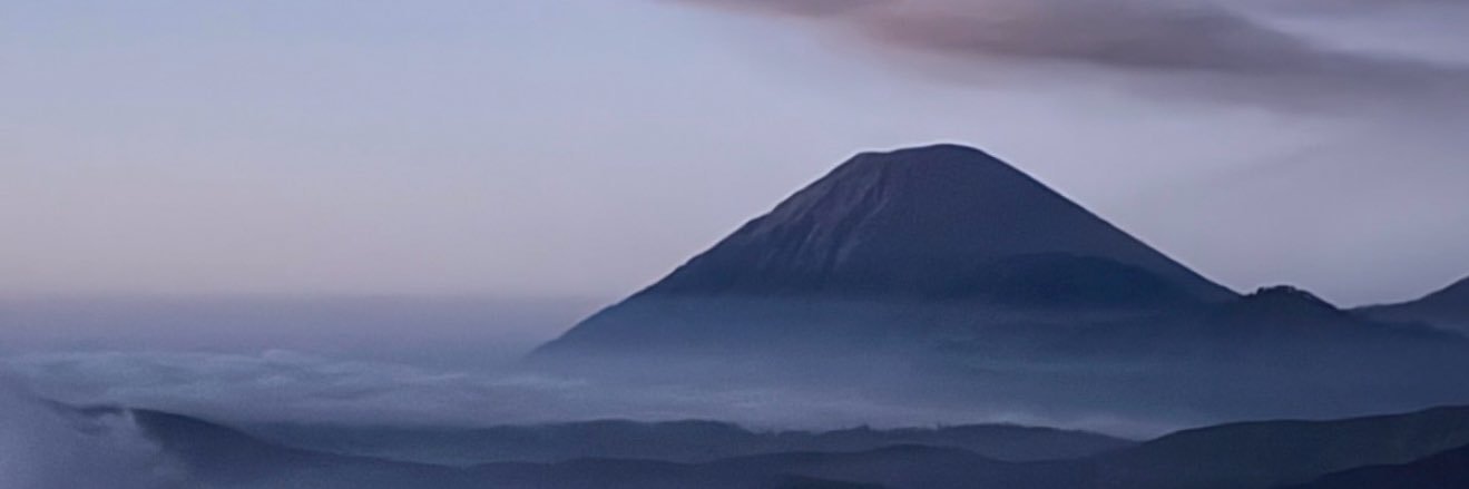 bluebutterflych's profile banner image