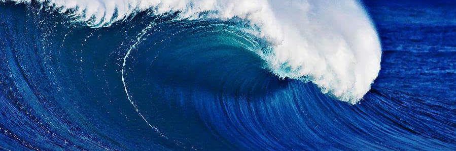 a random blake banner