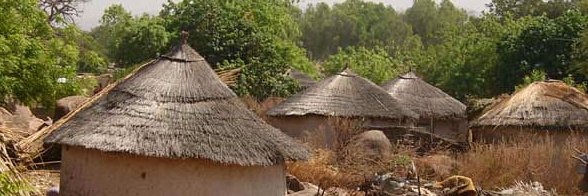 Ali Compaoré banner