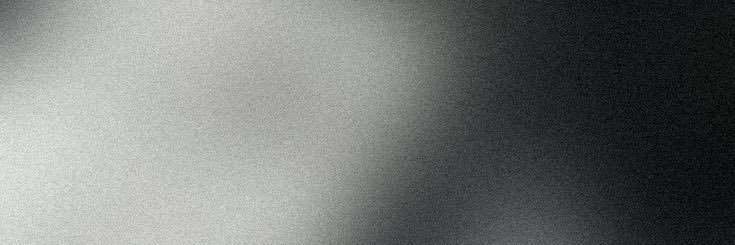 Karina S banner