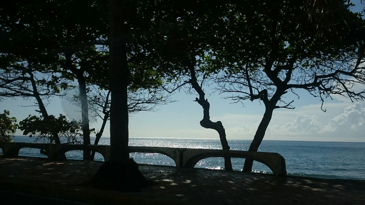 bacamb's profile banner image