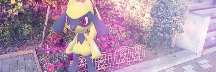 Tialice7's profile banner image