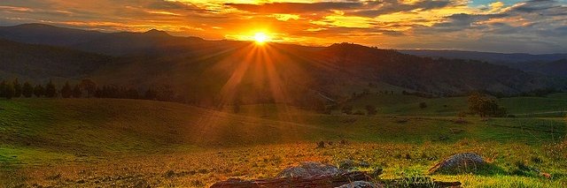 Katrina Quinn banner