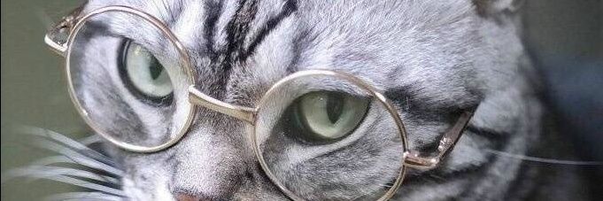 benseyanchu's profile banner image
