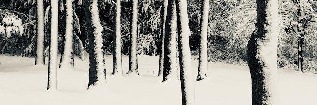kdkolarik's profile banner image