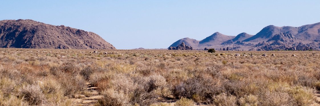 Happier ᗰeal banner