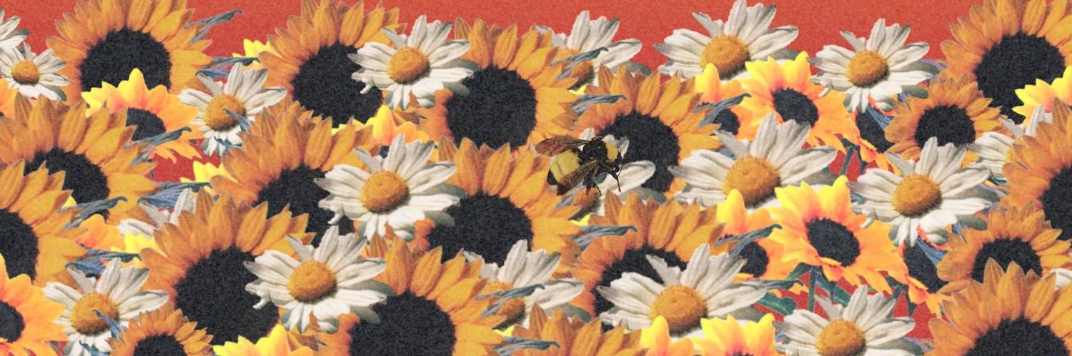 • banner