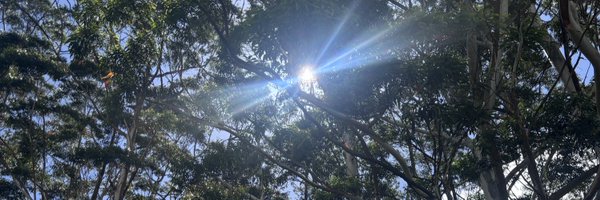 solarpunkmaxi Profile Banner