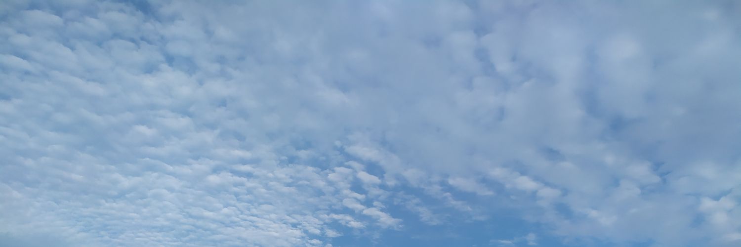 vuthuan1901's profile banner image