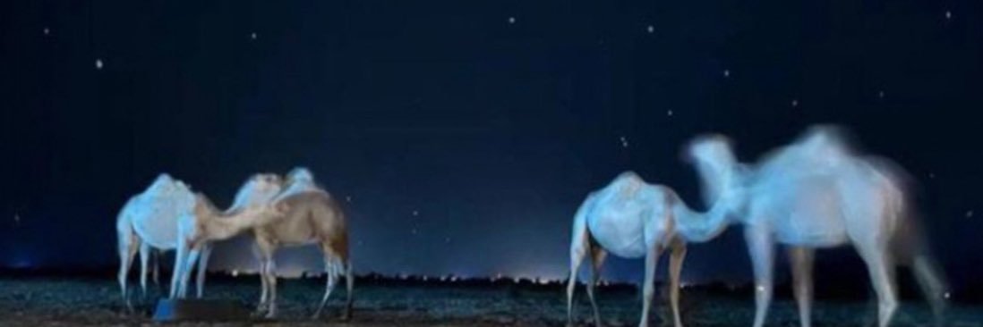 مُر banner