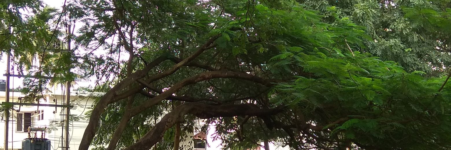 thebhavyeah's profile banner image