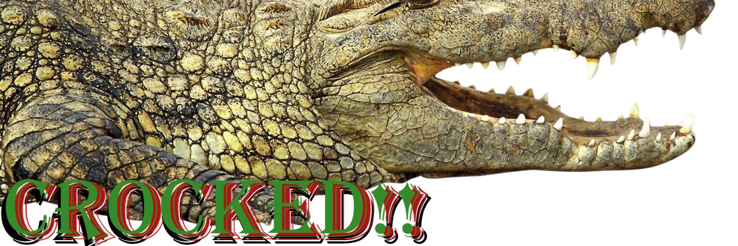 SHaggermaker's profile banner image