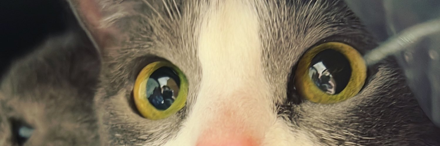 sebasjuanr's profile banner image